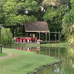 怡保翠林城主题民宿 - 15Pax Karaoke