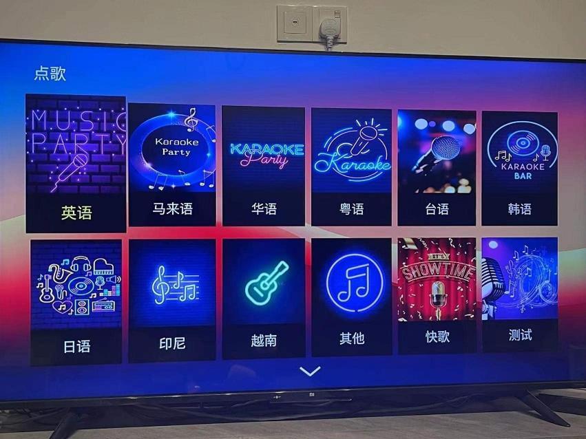怡保翠林城主题民宿 - 15pax Karaoke
